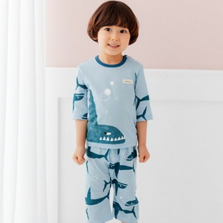 -Bộ cotton giấy Theminou xuất Hàn
