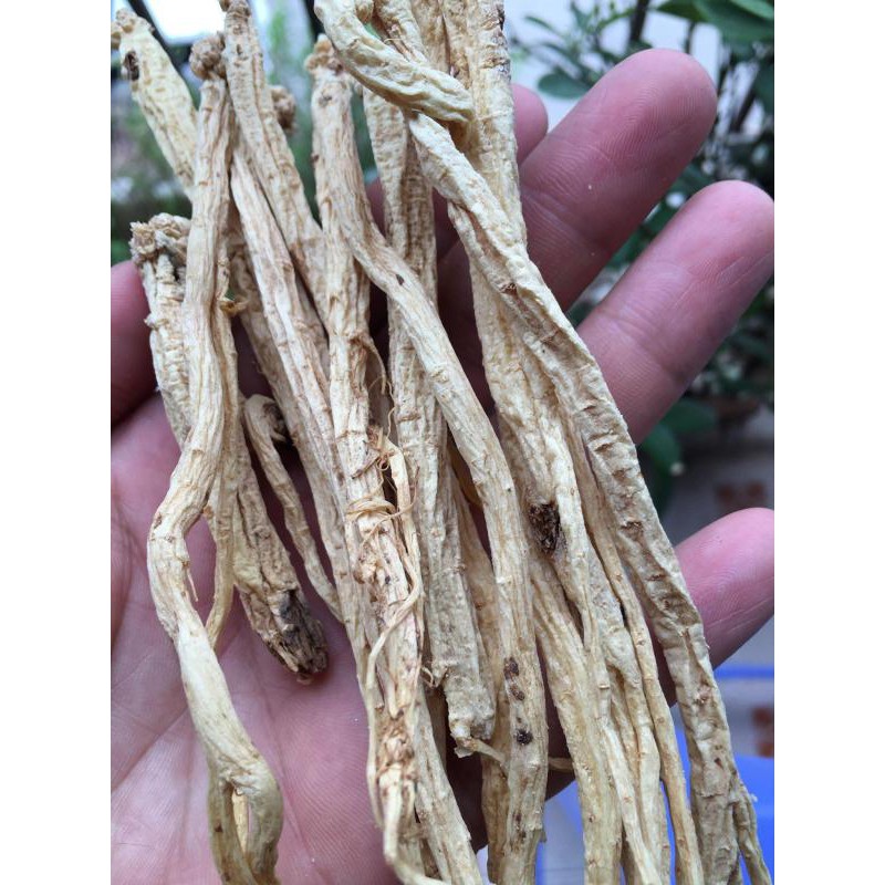 400gr ĐẲNG SÂM KHÔ SỢI TO - loại thảo dược bổ khí huyết rất tốt
