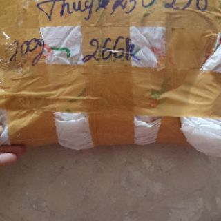 Đầm của thúy 250290