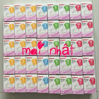 Núm pigeon nội địa nhật s, m, l, ll