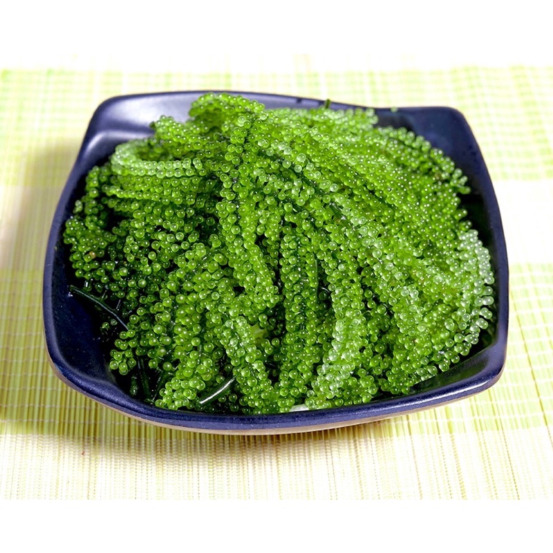 [Tặng kèm sốt mè ] Rong nho tách nước Green Food Organic 1 Gói 20gr nở ra 100gr rong nho tươi cam kết không tanh