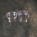 Đĩa petri nhựa 35x15mm, 60x15mm free DNA, non -pyrogenic