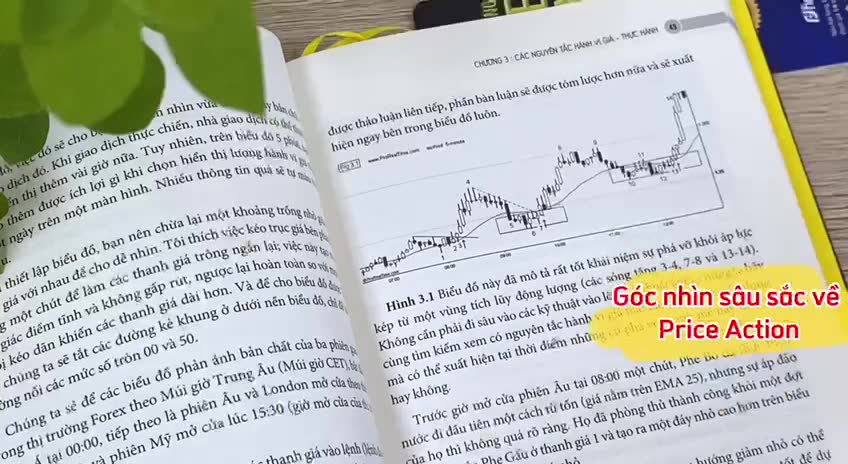 Sách Thấu hiểu Hành vi giá Thị trường Tài chính (Understanding Price Action) | BigBuy360 - bigbuy360.vn