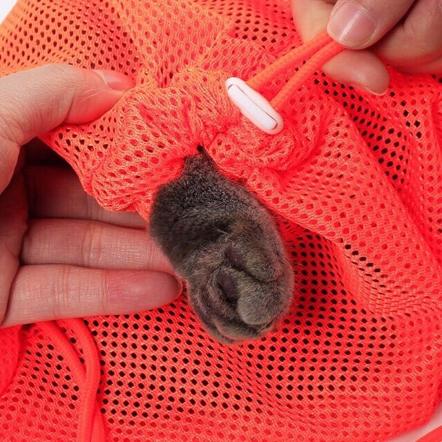 Túi lưới tắm cho mèo