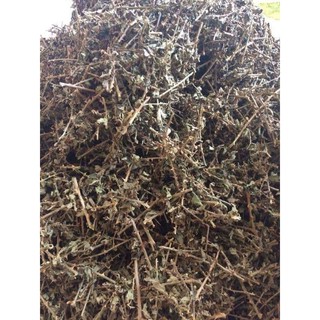 Cà gai leo 1kg