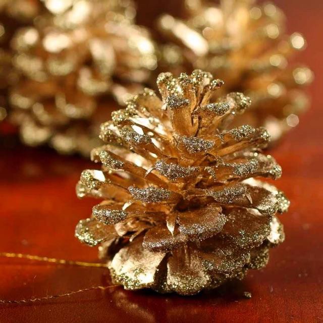 Set 10 quả thông nâu, thông nhũ vàng, thông khô treo cây thông noel, trang trí giáng sinh, decor chụp ảnh