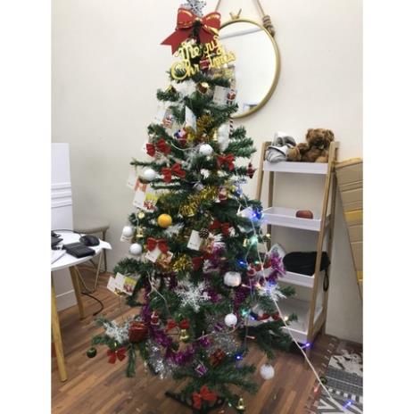 Cây Thông Noel 1.5m, 1.8m Đầy Đủ Phụ Kiện - Cây Thông Giáng Sinh