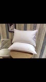 Ruột gối Lavender kt 50x70