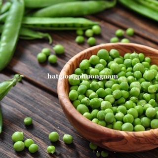 HẠT GIỐNG ĐẬU HÀ LAN