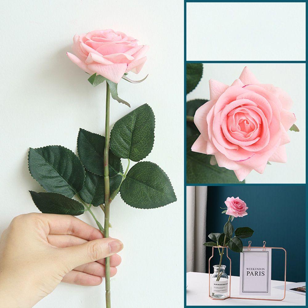 CONOPERY Khung Sắt Đựng Chậu Hoa Thủy Canh Trang Trí Nhà Cửa / Văn Phòng