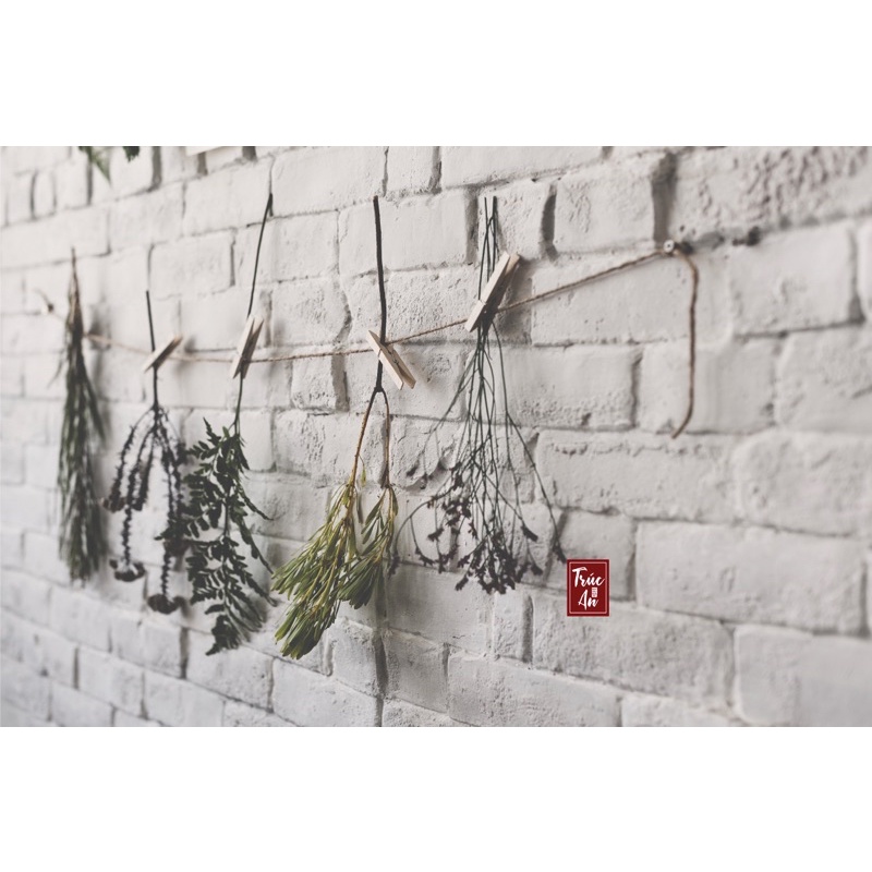 Kẹp gỗ trơn (dài 3cm rộng 0.4cm), tặng dây cói sợi mảnh dùng trang trí hình ảnh. Hàng có sẵn ship hoả tốc