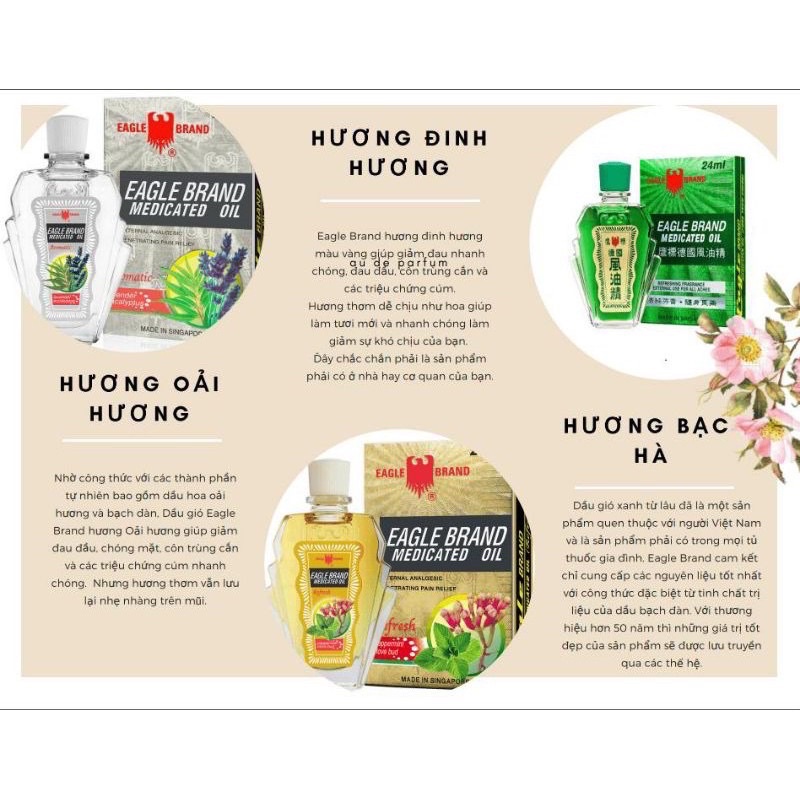 [HÀNG CHUẨN] DẦU GIÓ XANH MỸ VÀNG TRẮNG CON Ó 2 NẤC 24ml