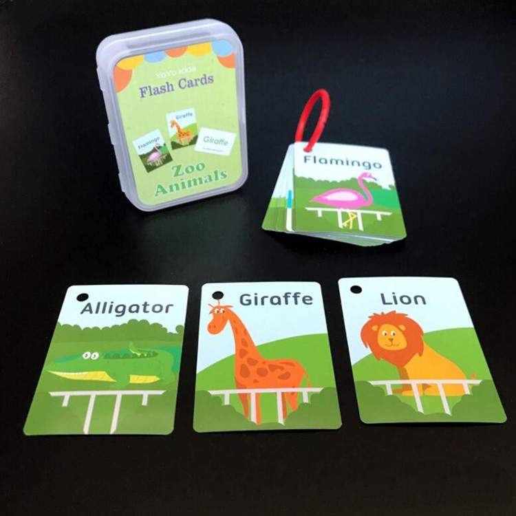 Combo 10 hộp flash card tiếng anh cho bé