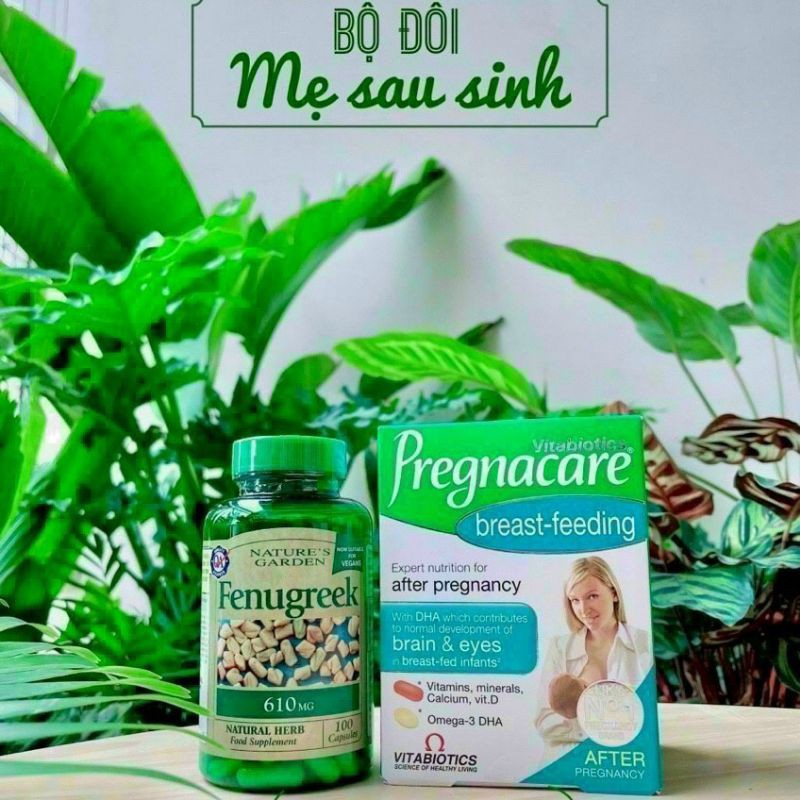 BỘ ĐÔI PREGNACARE BREAST FEEDING VÀ CỎ CÀ RI FENUGREEK CHO MẸ SAU SINH