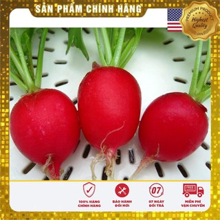 Gói 250 Hạt giống củ cải đỏ USA