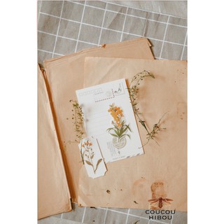  STICKER HOA CỔ ĐIỂN lớn 60 tấm