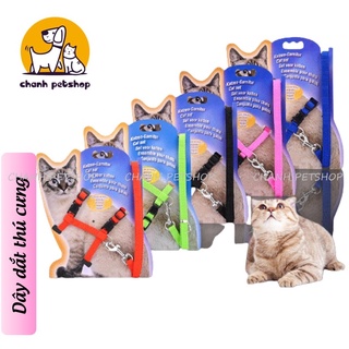 Dây dắt thú cưng, dây dắt mèo đủ màu sắc đáng yêu