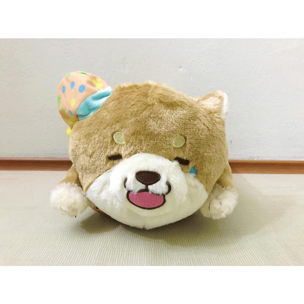 SK JAPAN - Bé cún Mochishiba đội mũ chóp cute