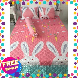 Xả kho bộ drap giường cotton lụa Thỏ tai dài