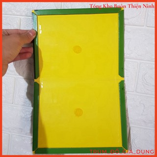 Combo 10 miếng dính chuột cao cấp