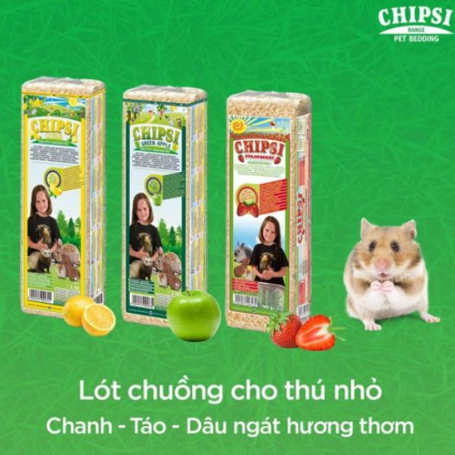 MÙN CƯA THƠM CHIPSI 15L CHO HAMSTER