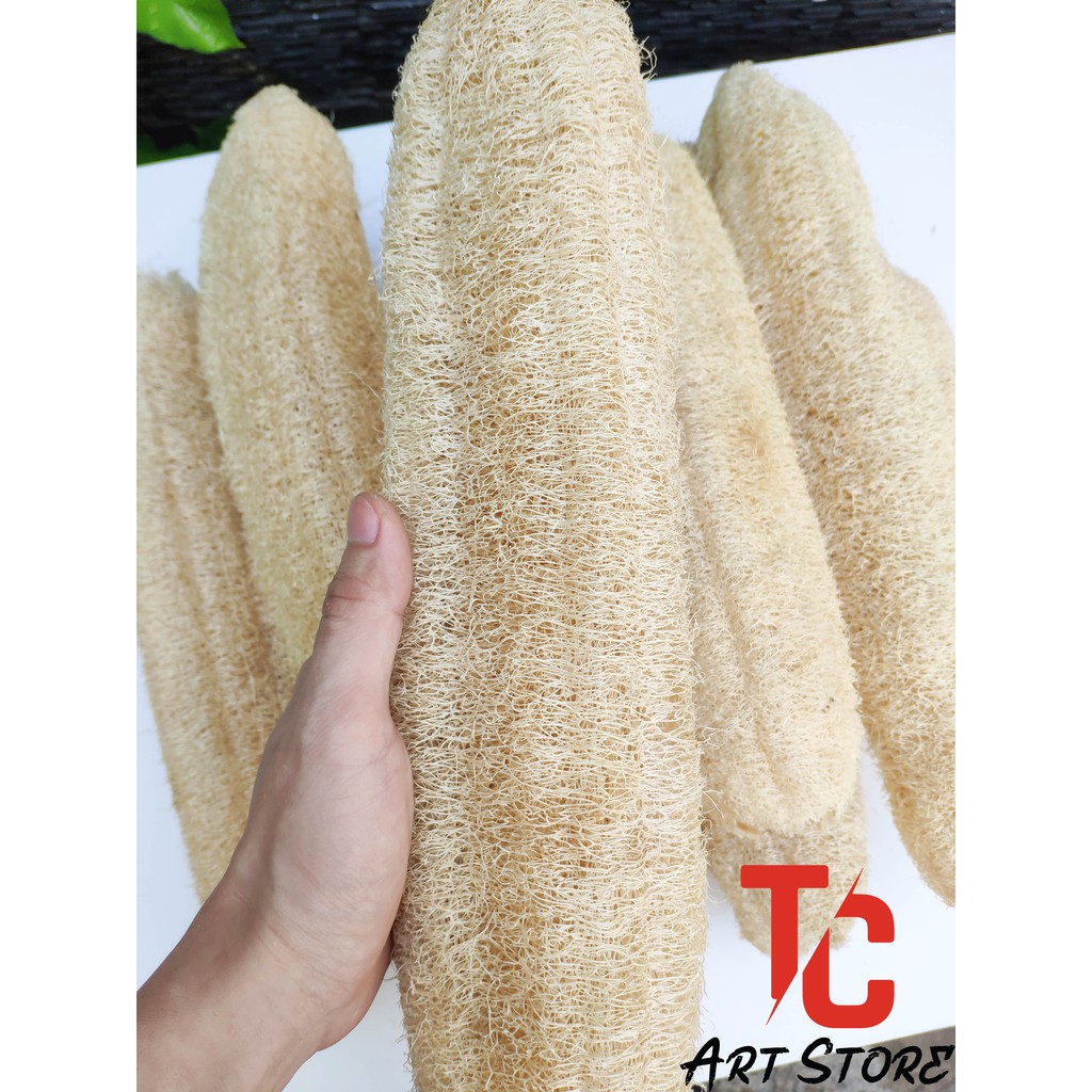 Xơ Mướp Tự Nhiên