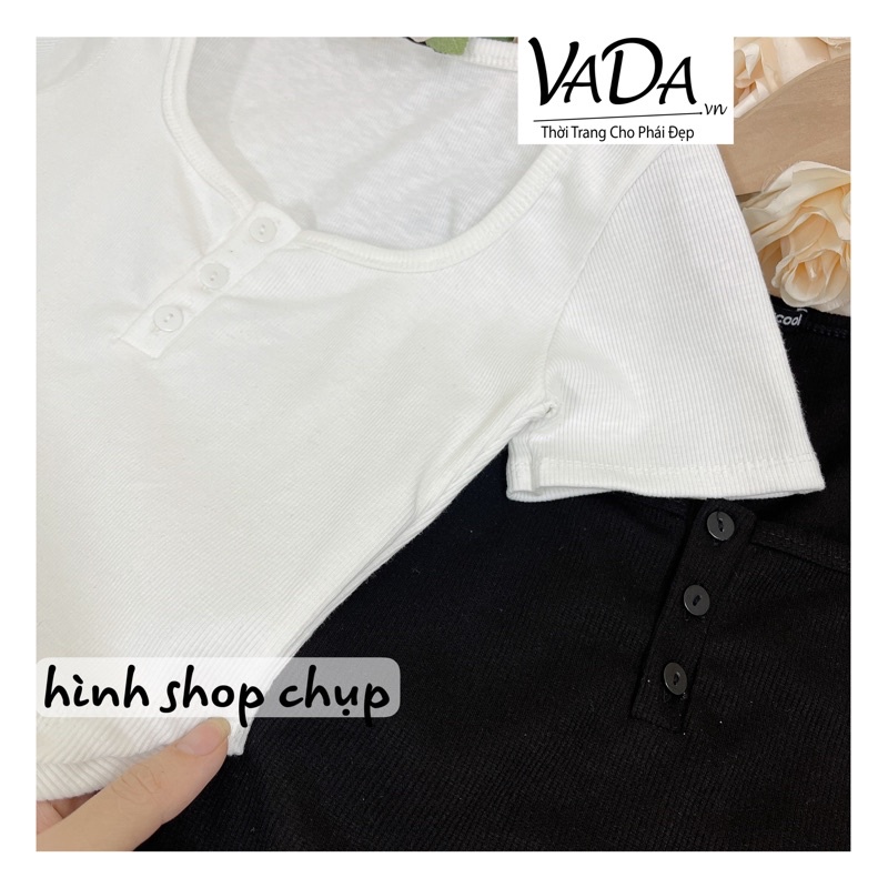 Áo croptop nữ tay ngắn , Croptop nữ dáng ôm cổ tròn cá tính - Thời Trang VADA (A02)