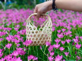 Giỏ bánh trung thu giỏ mắt cáo