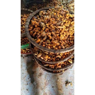 Tinh bột nghệ nếp đỏ gói 100g