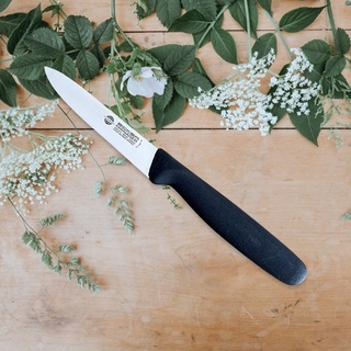 Dao gọt vỏ trái cây 10cm Eicker (Đức) 1610510