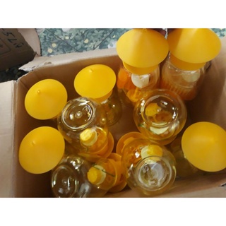 Bộ lọ đèn bẫy ruồi vàng tự động có kèm mồi dẫn dụ