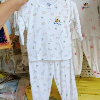 Bộ unchi cotton sợi tre