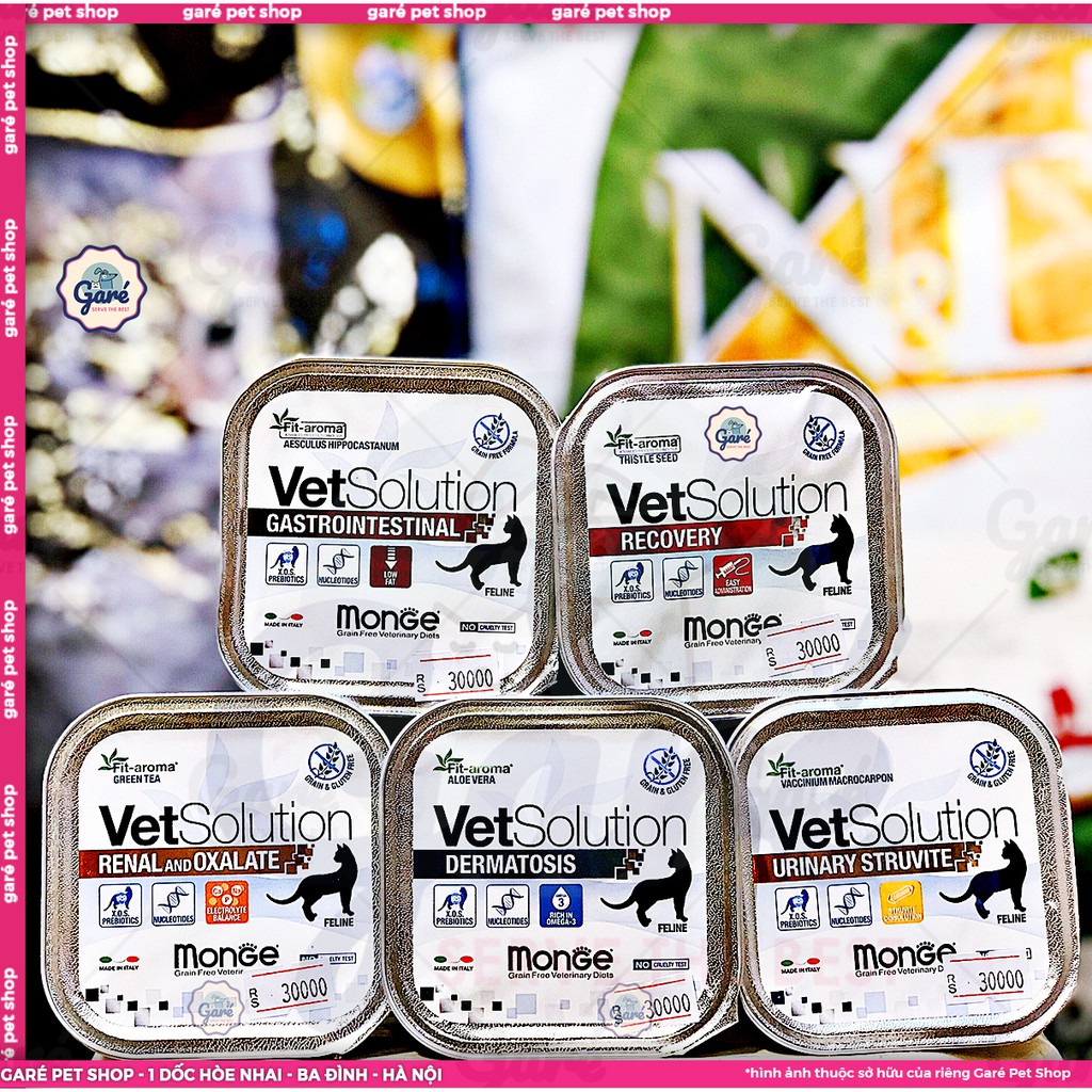 100g - Pate Recovery phục hồi sức hàng nhập Ý cho Mèo - Monge Vet Solution Recovery
