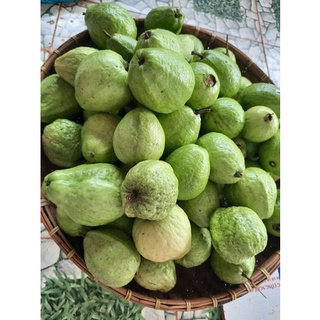 Sản phẩm: Ổi hữu cơ