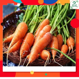 🥕HẠT GIỐNG CÀ RỐT F1_3GR🥕