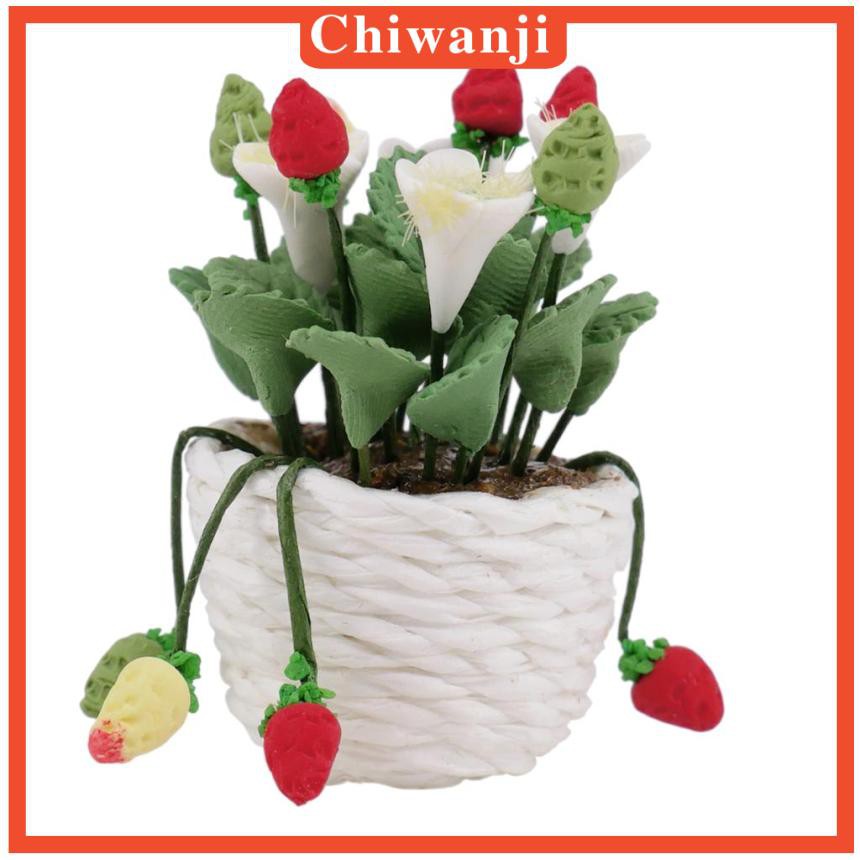 Chậu Cây Bonsai Mini Tỉ Lệ 1 / 12 Dùng Trang Trí Nhà Búp Bê