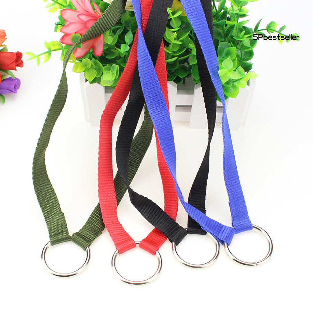 Dây Dắt Thú Cưng Đi Dạo