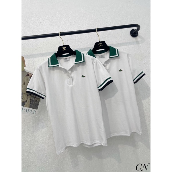 Áo Polo cá sấu hot hittt quốc dân