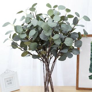 Cành lá dài 5nhánh