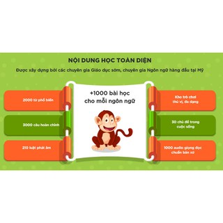 Bộ flash card với Monkey junior 1 năm