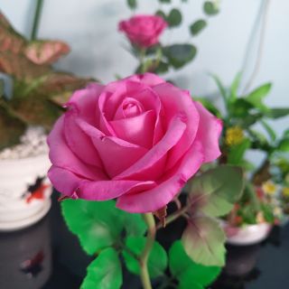 Nguyên liệu làm hoa đất sét