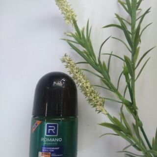 Lăn khử mùi nam mini 20ml