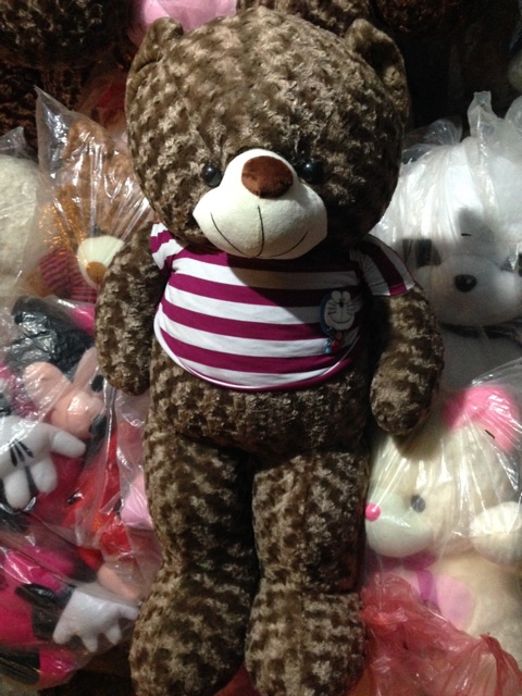 Gấy bông teddy m7