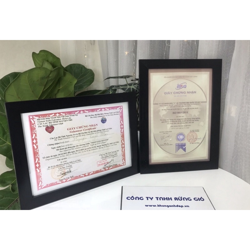 Khung ảnh mặt kính các cỡ/ khung kính treo tường