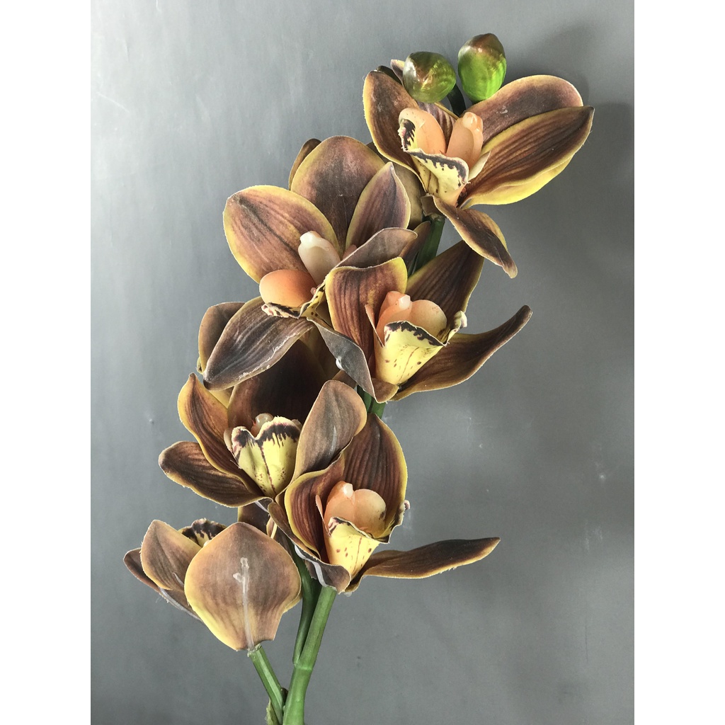 Cành địa lan màu nâu đất  - HC00055 -