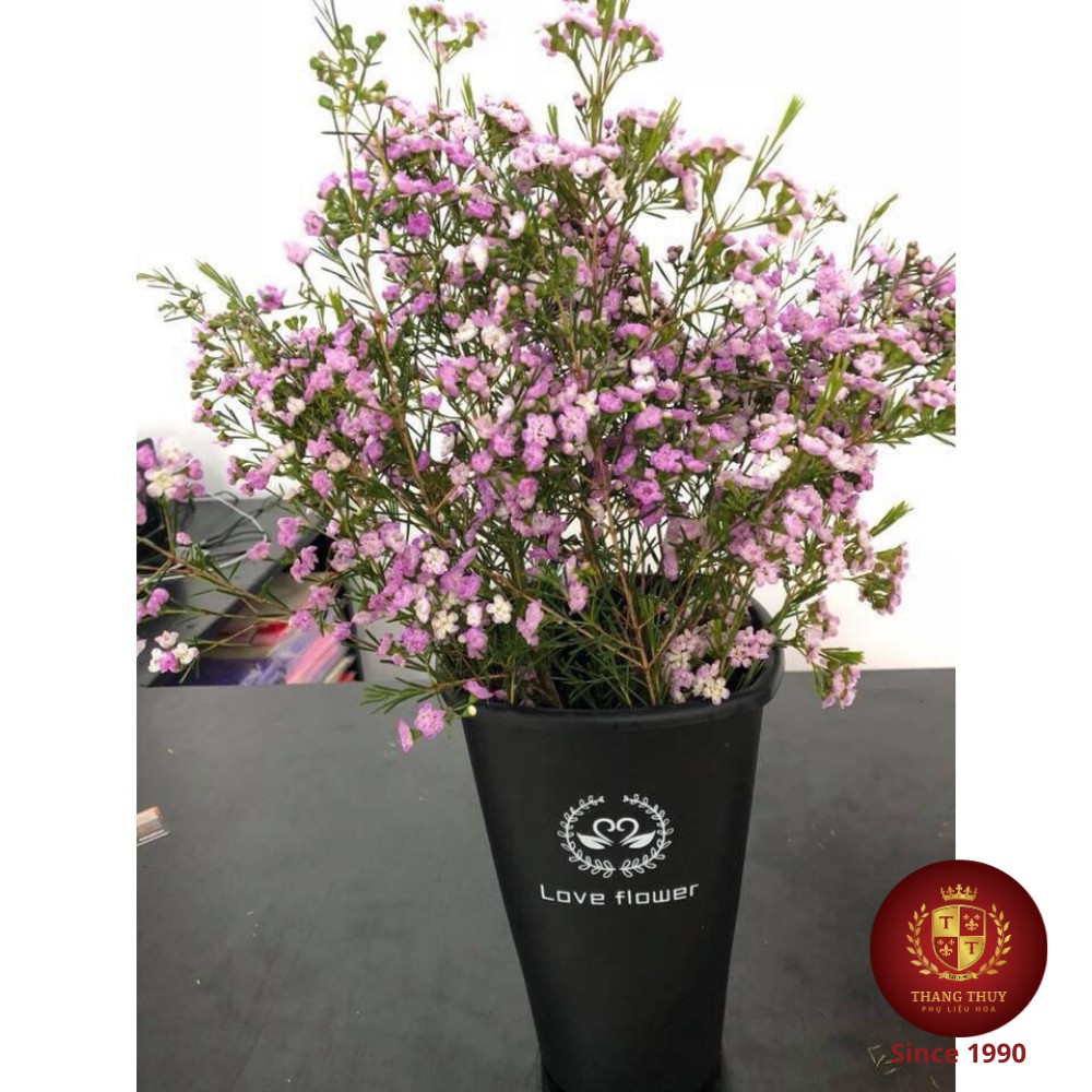 Xô nhựa đựng hoa