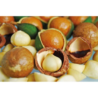 Hạt Macadamia sấy khô nứt vỏ 500gram