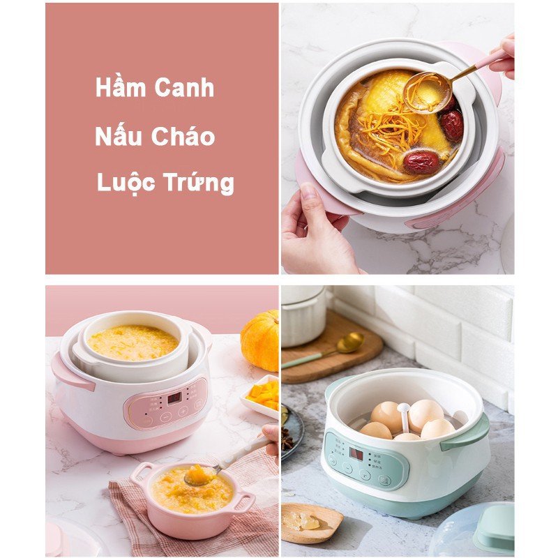 Nổi nấu cháo cho bé [CAO CẤP], nồi nấu cháo chậm, nồi hầm đa năng, ninh, hấp cách thủy cho bé ăn dặm - Danami Store