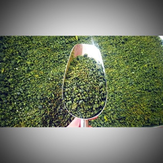 Muối nung ống tre lá é Gia Lai - hủ thủy tinh 105gr