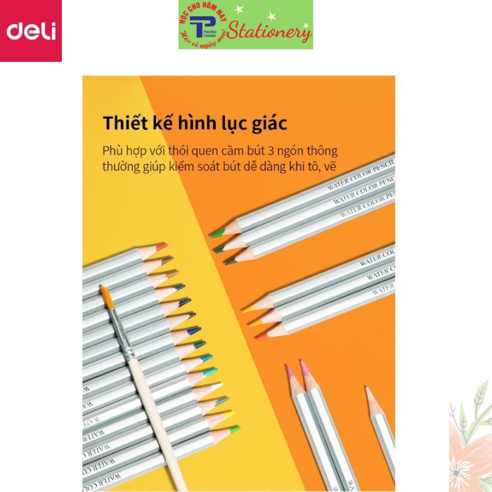 Bút chì màu nước cao cấp Deli - Có kèm cọ tán - Bộ 24 màu - 6521